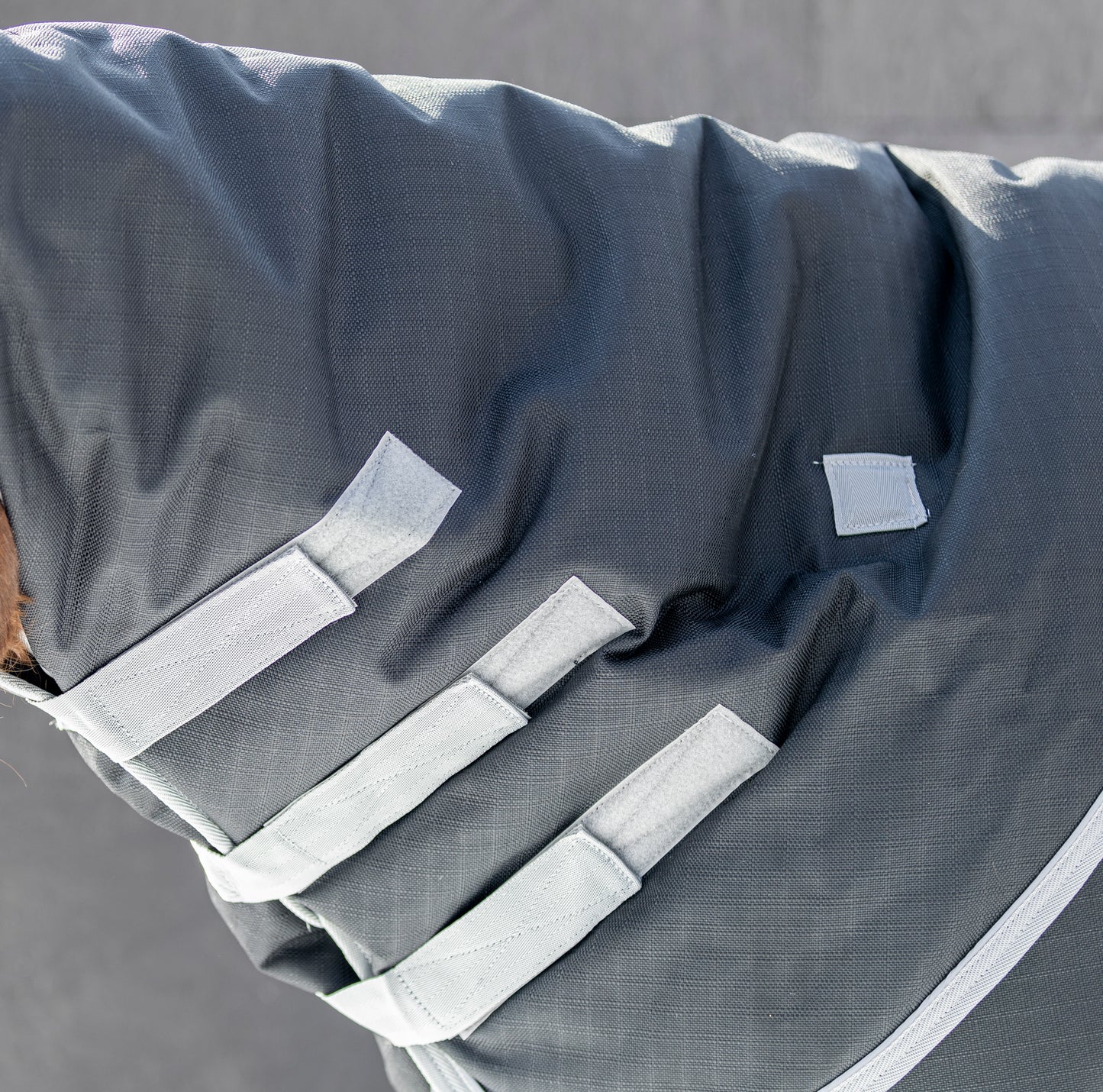 The Duke Winter Turnout