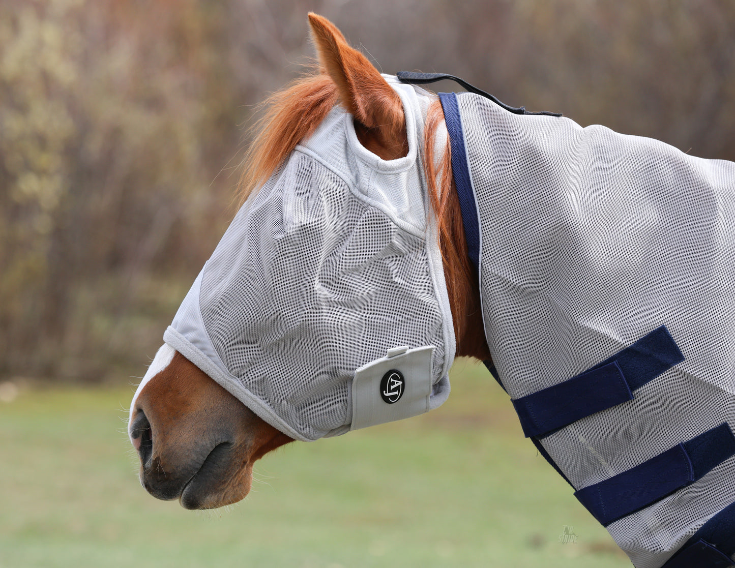 Fly Mask No Ears