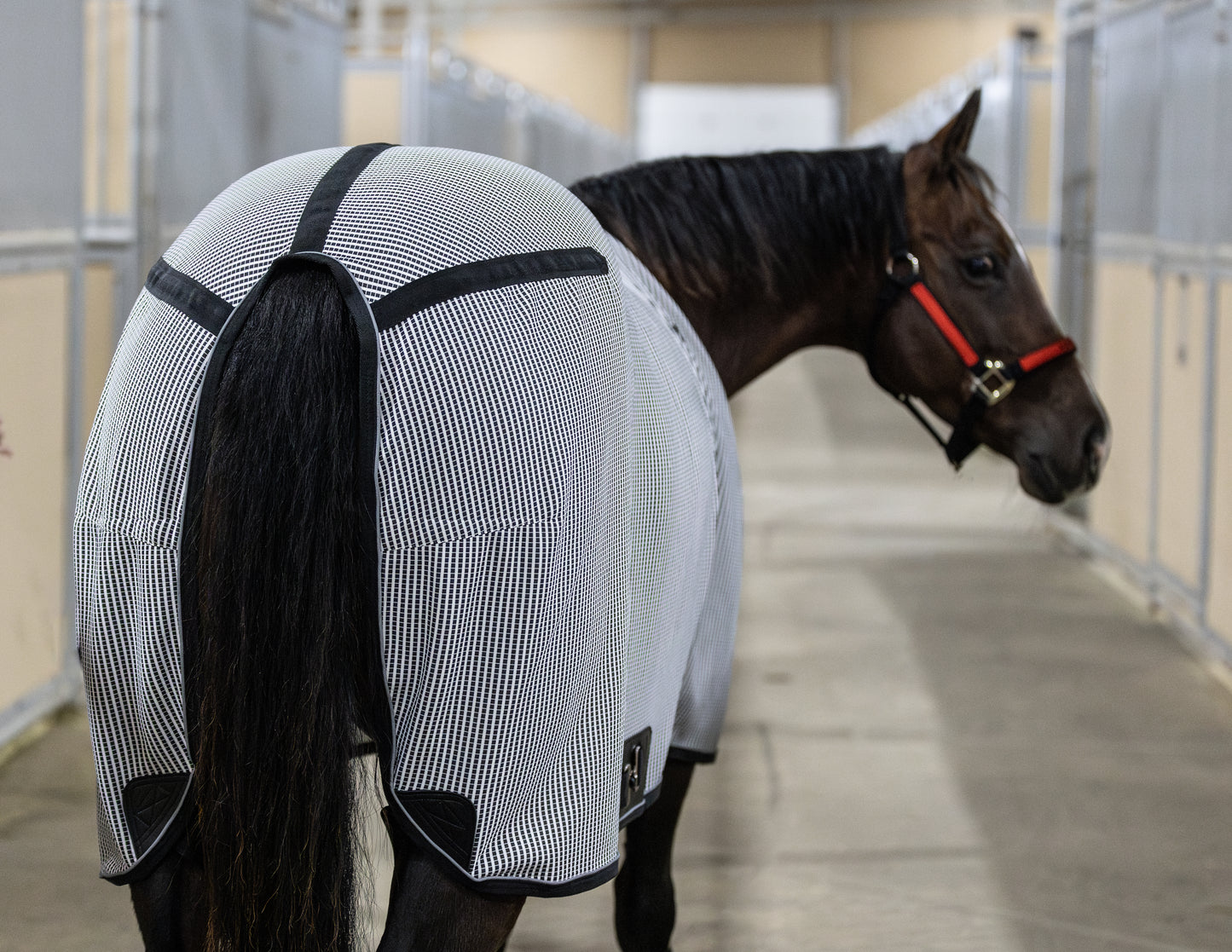 Far-Infrared Therapeutic Sheet