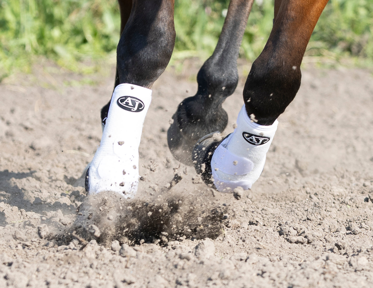 PRO SERIES Sport Boot (2 Pack)