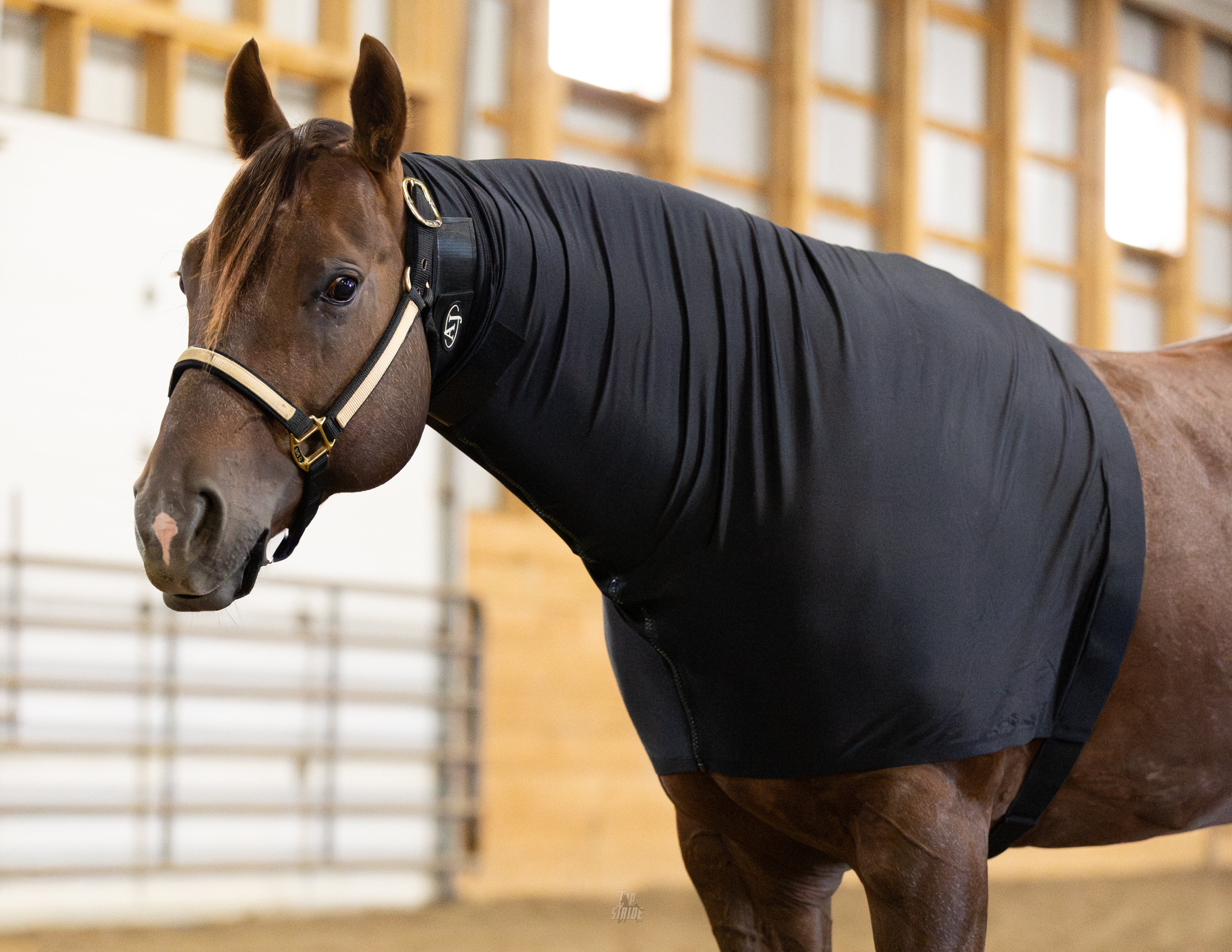 Faceless Slinky – AJ Equine Supply