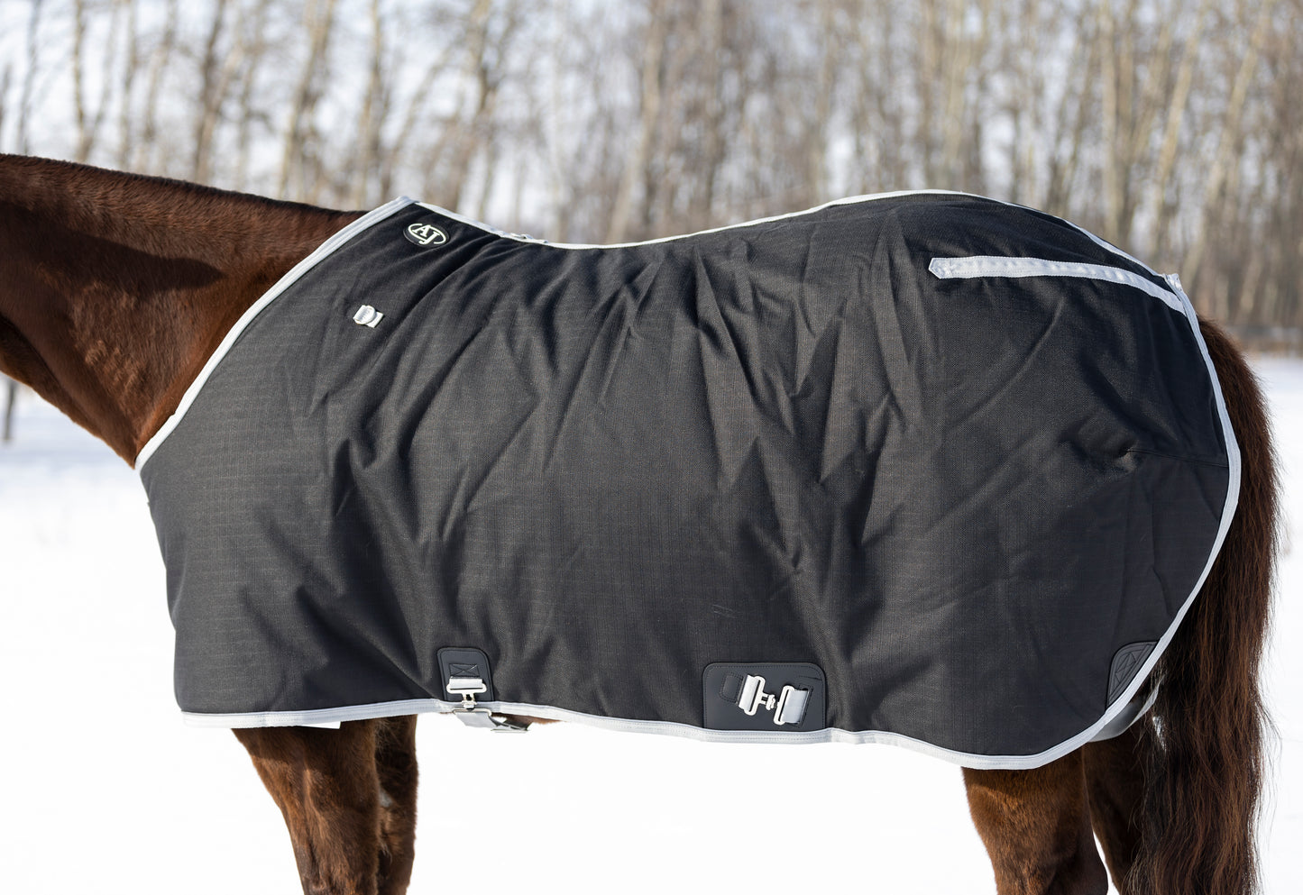 The Duke Winter Turnout