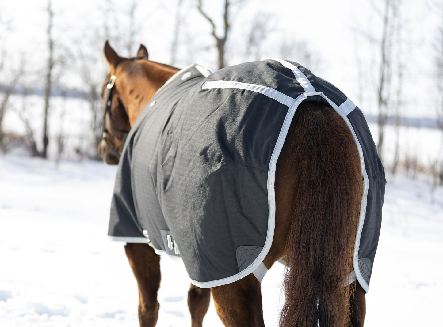 The Duke Winter Turnout