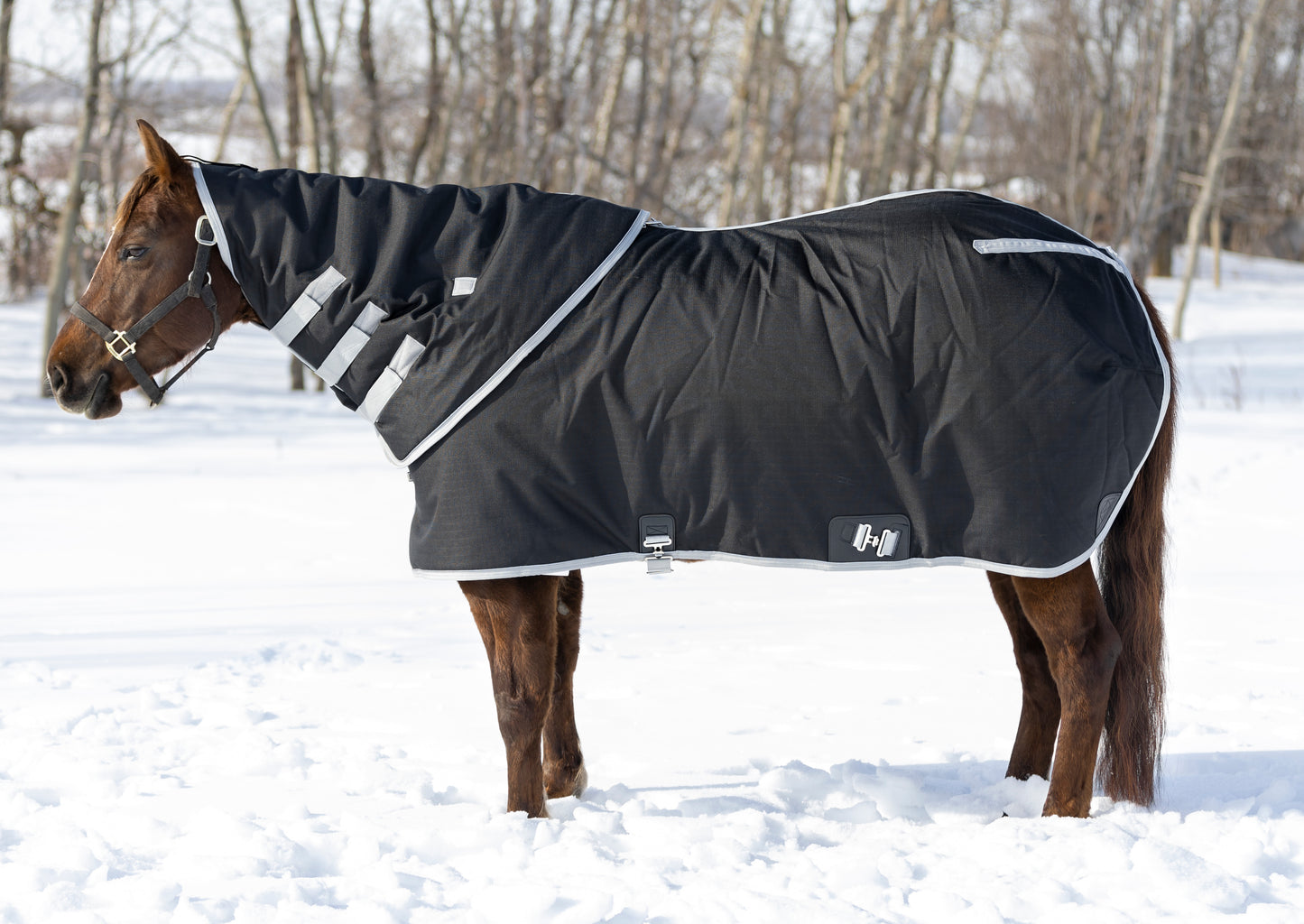 The Duke Winter Turnout