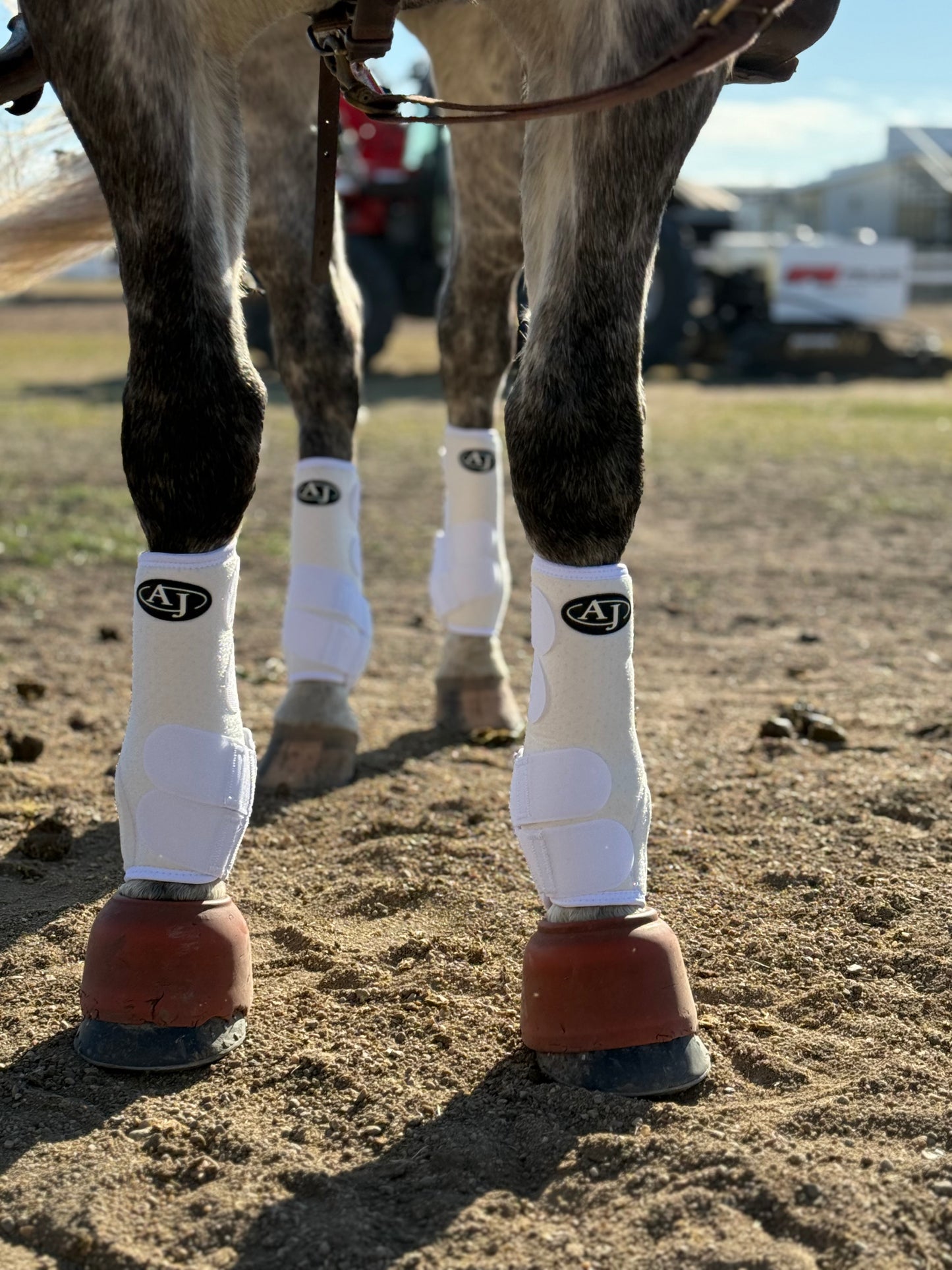 PRO SERIES Sport Boot (4 Pack)