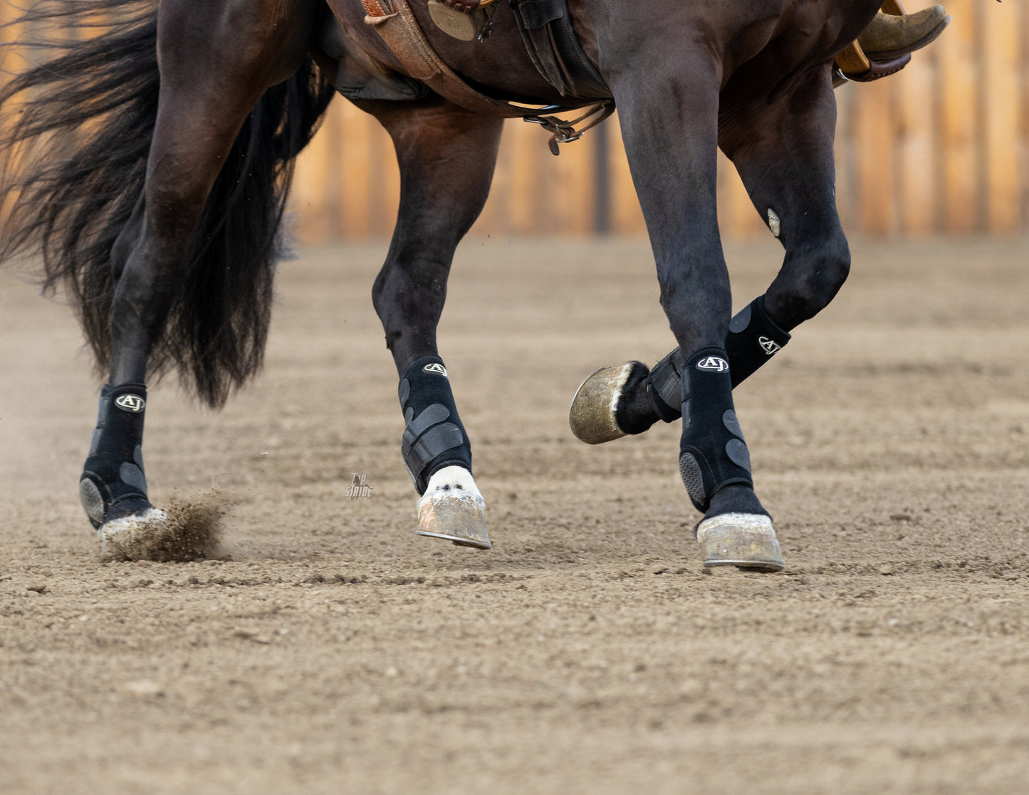 PRO SERIES Sport Boot (4 Pack)