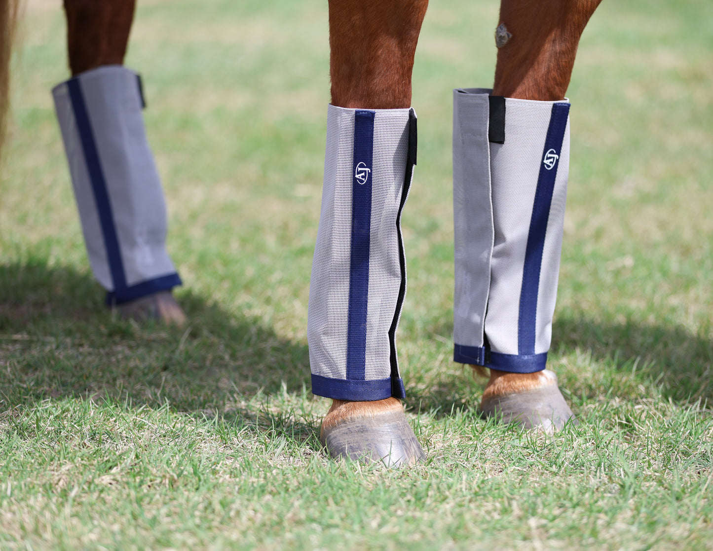 Fly Boots (4 Pack)