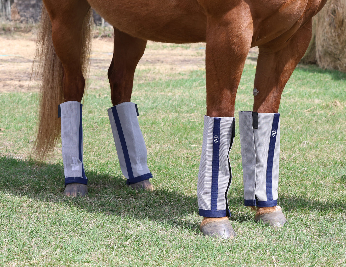 Fly Boots (4 Pack)