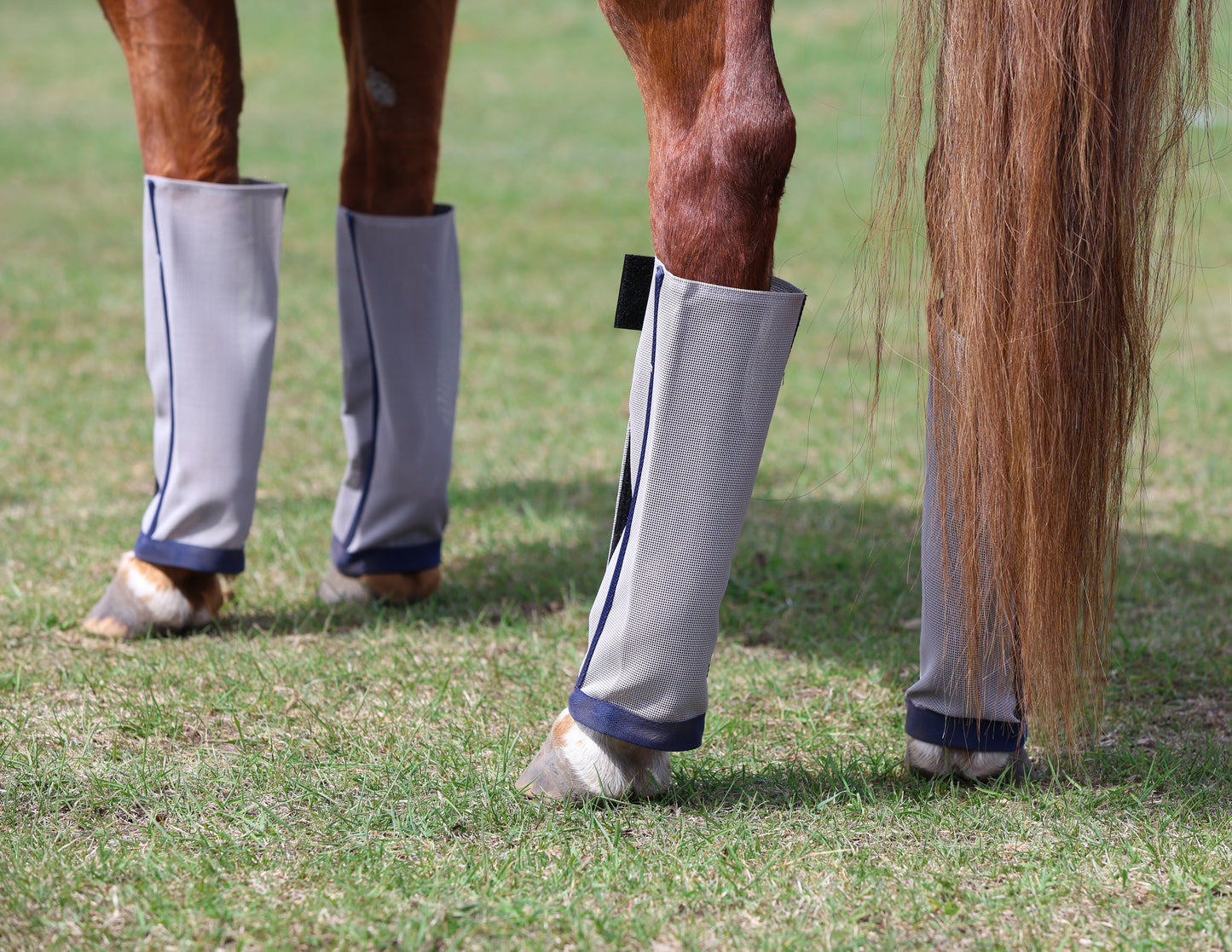 Fly Boots (4 Pack)