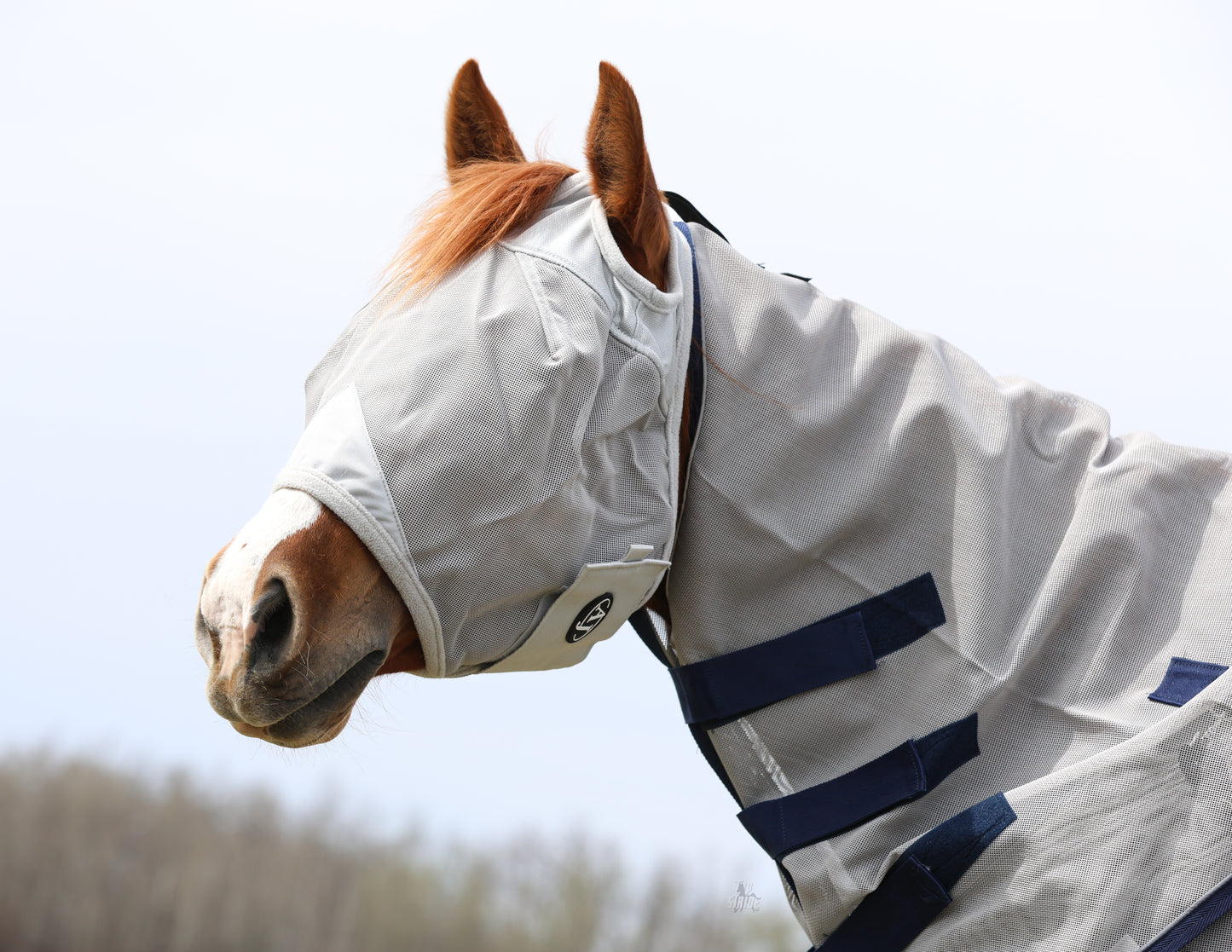 Fly Mask No Ears