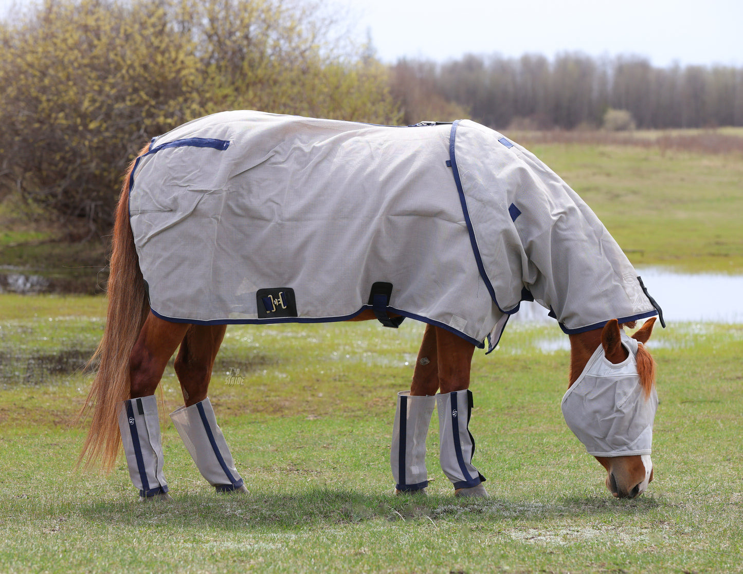 Fly Boots (4 Pack)