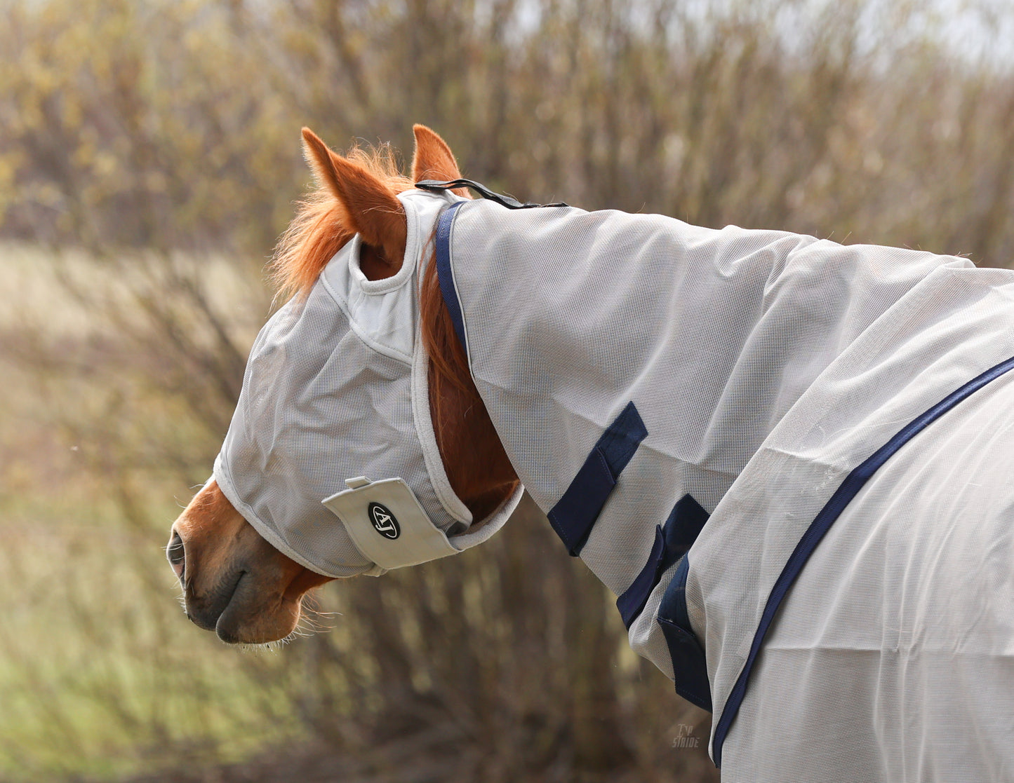 Fly Mask No Ears