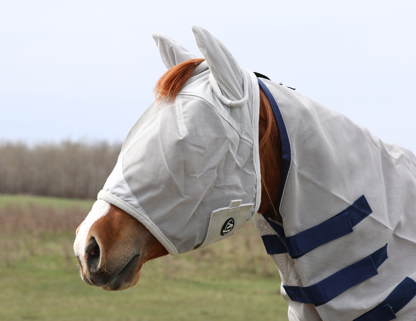 Fly Mask with Ears