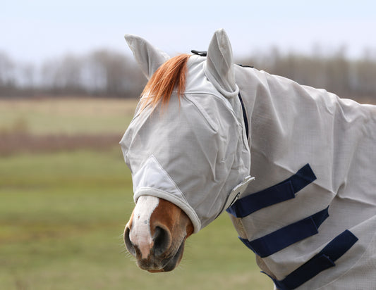Fly Mask with Ears