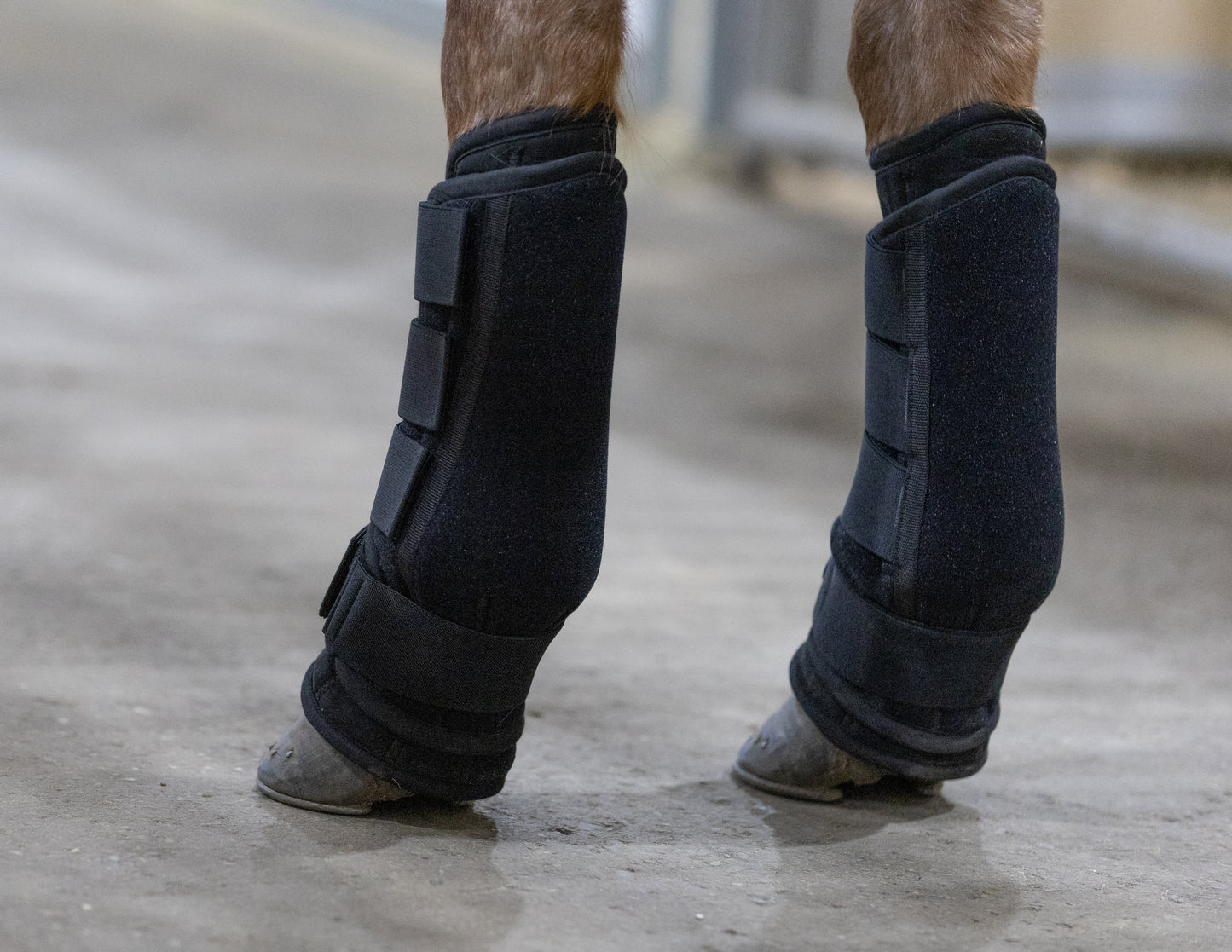 Wrapping Boots Quick Wrap Therapy Boots – AJ Equine Supply