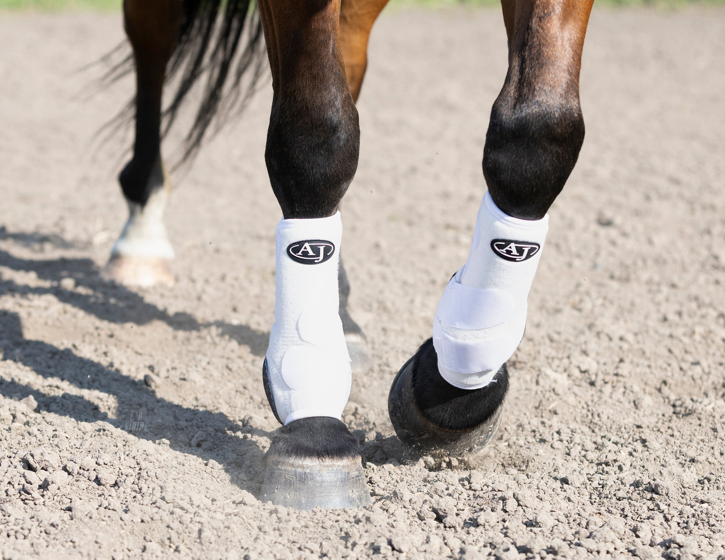 PRO SERIES Sport Boot (4 Pack)