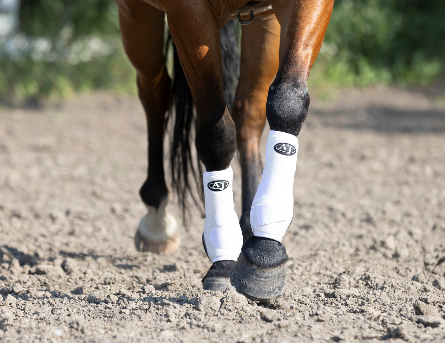 PRO SERIES Sport Boot (4 Pack)