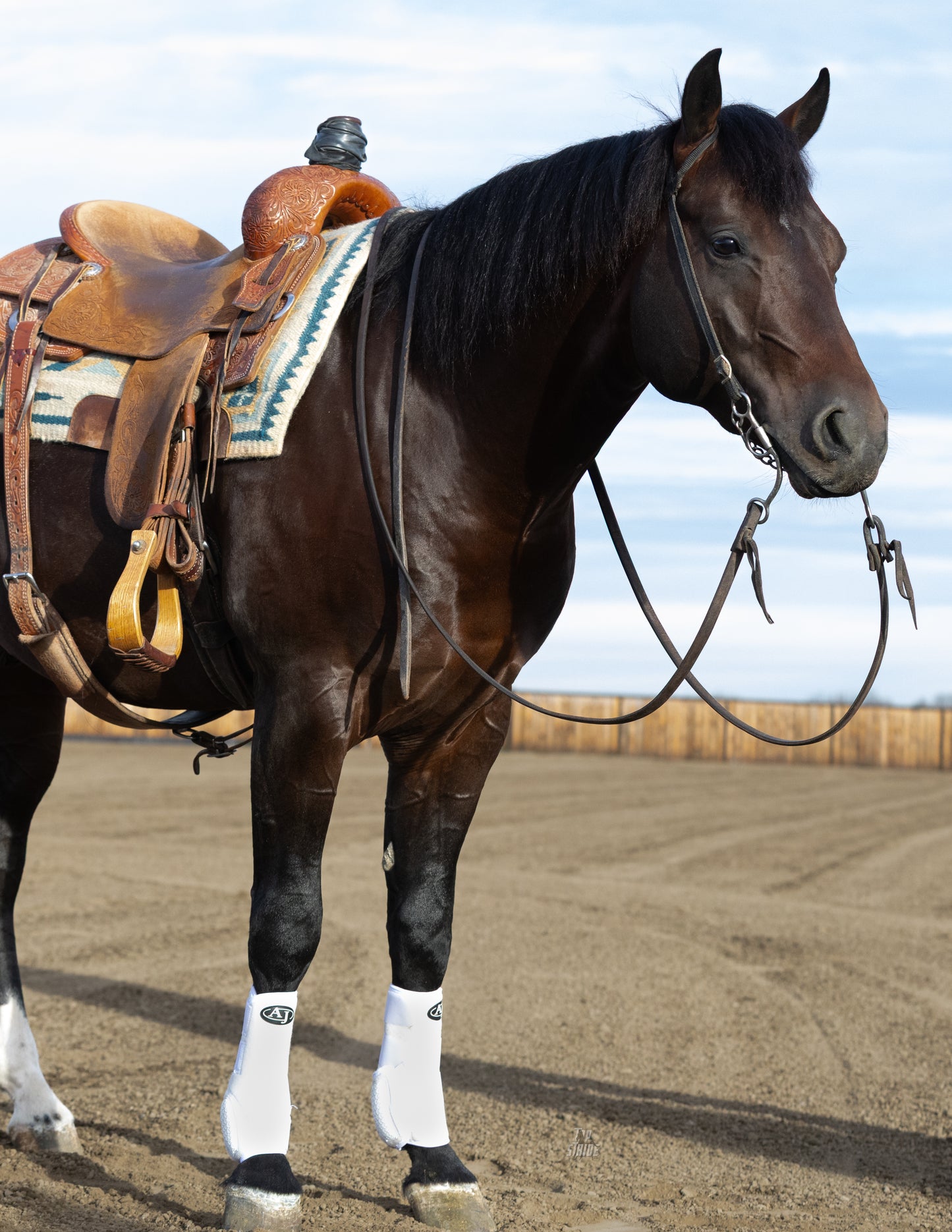 PRO SERIES Sport Boot (2 Pack)