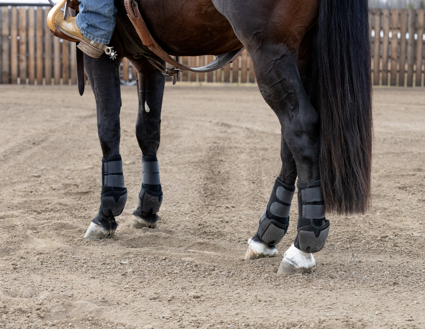 PRO SERIES Sport Boot (4 Pack)