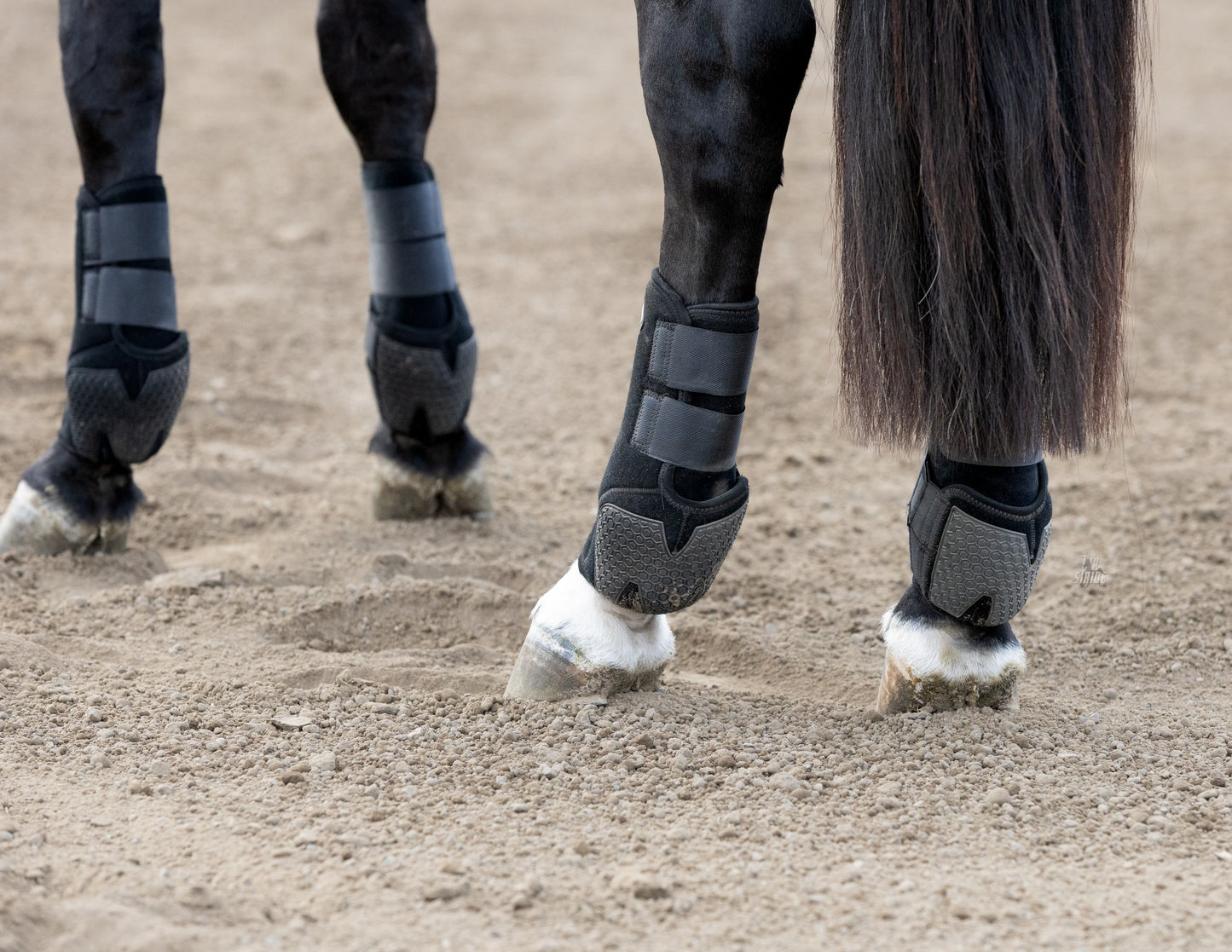 PRO SERIES Sport Boot (4 Pack)