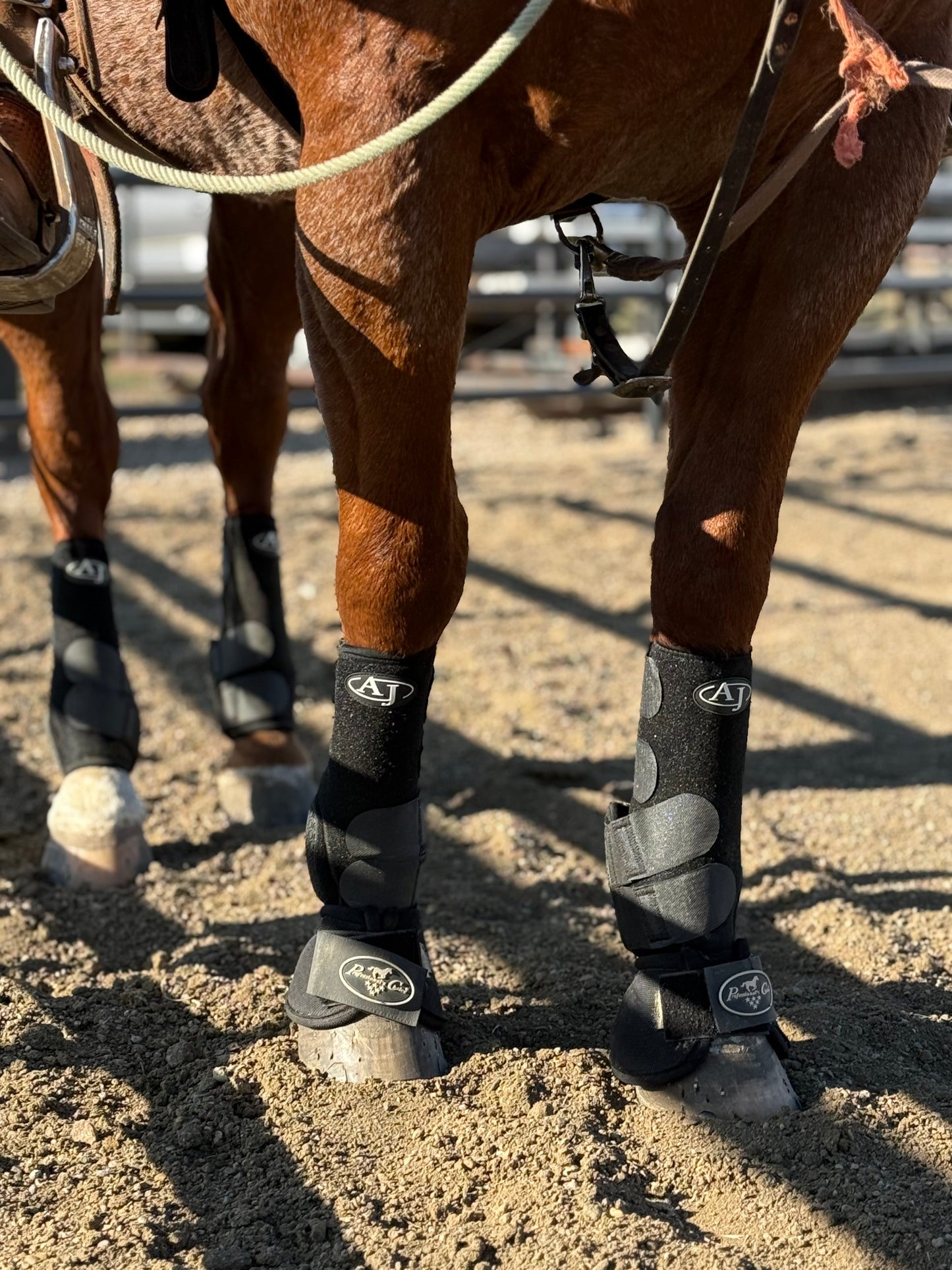 PRO SERIES Sport Boot (4 Pack)