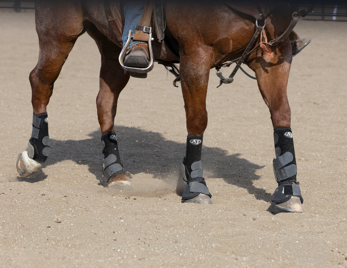 PRO SERIES Sport Boot (4 Pack)